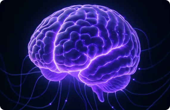 Brain development through coding
