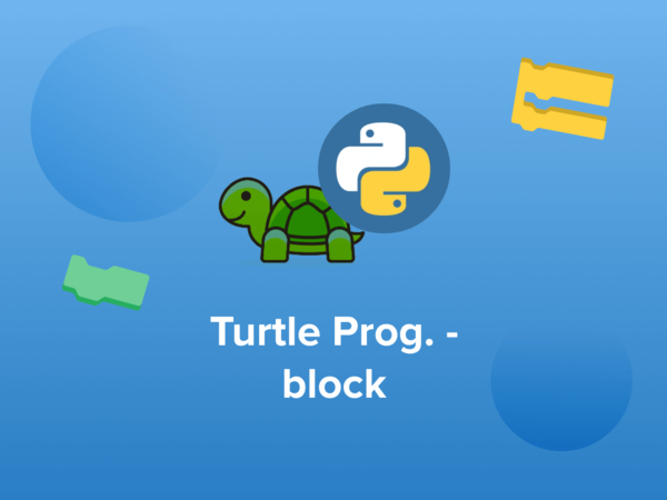 Turtle Programming Basics